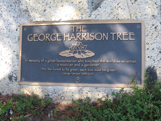 George Harrison tree